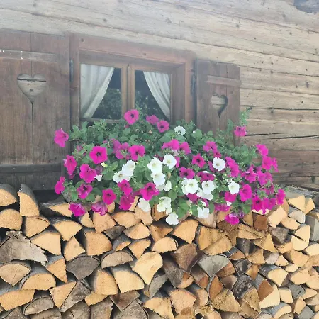 Hotel Alpenhof***