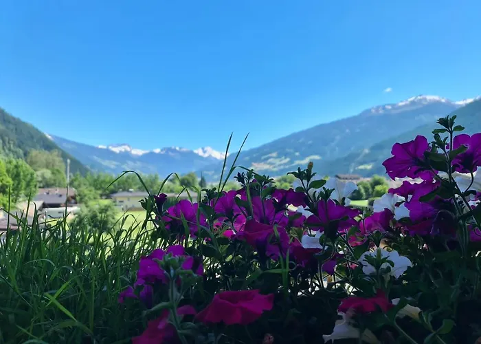 Alpenhof*** 3* קלטנבאך