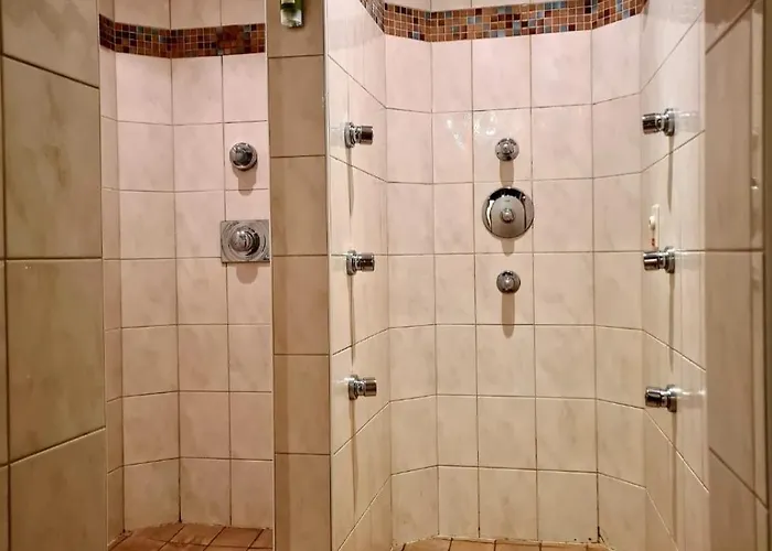 מלון Alpenhof*** 3*