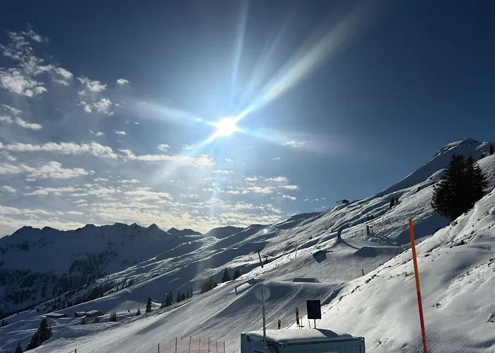 Alpenhof*** מלון