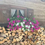 Hotel Alpenhof***