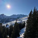 Alpenhof*** 3*